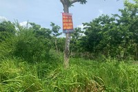 Mê Linh là địa phương có nhiều dự án chậm triển khai.