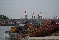 Tàu cá nằm bờ do giá xăng dầu và chi phí vật tư đầu vào tăng mạnh. (Ảnh: Bích Huệ/TTXVN) 