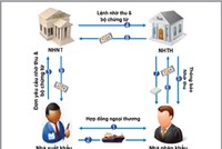 Doanh nghiệp bị lừa, ngân hàng thu hộ vô can?