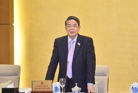 Phó chủ tịch Quốc hội Nguyễn Đức Hải điều hành phiên thảo luận.