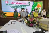 Đồng Tháp tăng cường liên kết hợp tác phát triển chuỗi cung ứng xuất khẩu