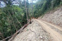 Hiện trường vụ phá rừng, mở đường làm Dự án đường Trường Sơn Đông. Ảnh: T.T