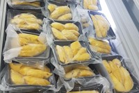 Trái cây cấp đông của Việt Nam phải đăng ký xuất khẩu sang Trung Quốc