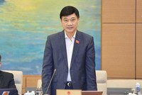 Chủ nhiệm Ủy ban Kinh tế Vũ Hồng Thanh phát biểu.