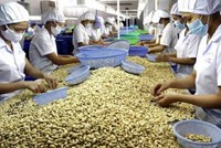 Bộ Công thương khuyến cáo doanh nghiệp khi tham gia hoạt động xuất khẩu cần kiểm tra, xác thực kỹ đối tác qua nhiều kênh khác nhau.