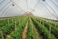 Phú Yên: Năm 2022 thu hút đầu tư vào 5 lĩnh vực trọng điểm