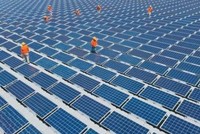 Nhà đầu tư điện mặt trời không muốn mất cơ hội