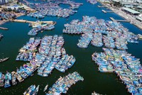 Âu thuyền và cảng cá Thọ Quang - Đà Nẵng (Ảnh Hải Sơn/VOV).