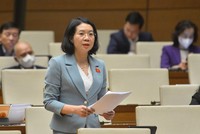 Đại biểu Mai Thị Phương Hoa (Nam Định). 