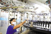 Bức tranh doanh nghiệp nhà nước vào thời điểm này có nhiều màu xám. Ảnh: Đức Thanh