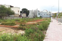 Chia lô, tách thửa là quyền lợi chính đáng của người sở hữu đất nên cần được quản lý và định hướng quy hoạch một cách bài bản, phù hợp. Ảnh: Việt Dũng