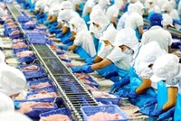 Vĩnh Hoàn lên kế hoạch lãi lớn, dự chi hơn 1.500 tỷ đồng làm ngân sách đầu tư