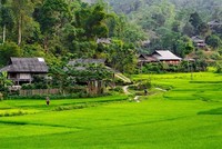 Vân Hồ là địa điểm du lịch được du khách yêu thích.