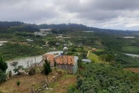 Một góc tỉnh Lâm Đồng. Ảnh minh họa