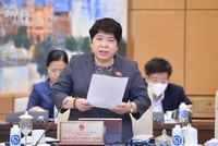 Chủ nhiệm Ủy ban Xã hội của Quốc hội Nguyễn Thuý Anh.