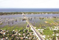 Sông Trường Giang đã bị bồi lấp, khiến tàu thuyền không thể qua lại và ảnh hưởng lớn đến đời sống người dân sống ven sông