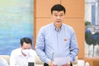 Chủ nhiệm Ủy ban Kinh tế của Quốc hội, ông Vũ Hồng Thanh.