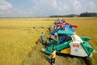 Sau khi có Nghị quyết 120 NQ-CP, các tỉnh cũng như các bộ, ngành đã và chuẩn bị chuyển sang giai đoạn thuận theo thiên nhiên để phát triển Đồng bằng sông Cửu Long, đi tới kinh tế nông nghiệp. Ảnh: Lê Toàn