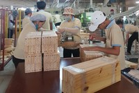 Dịch Covid-19 đã được kiểm soát, sản xuất phục hồi mạnh mẽ, đơn hàng gia tăng là những chỉ dấu cho xuất khẩu lập kỷ lục.