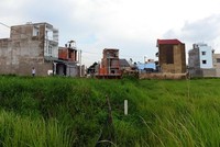 TP.HCM: Khẩn trương xử lý dứt điểm vụ 1.386 hồ sơ chuyển mục đích sử dụng đất