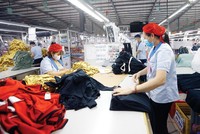 Nhà máy May DHA sản xuất hàng may mặc xuất khẩu sang Mỹ. Ảnh: Đức Thanh