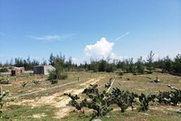 Một khu đất phân lô, bán nền ở tỉnh Quảng Ngãi. Ảnh: P.V