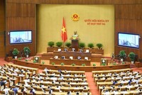 Phiên họp ngày 30/5 của Quốc hội.