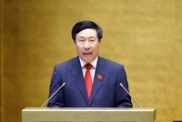 Phó Thủ tướng Chính phủ Phạm Bình Minh.