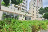 Cận cảnh hàng ngàn căn hộ tái định cư ở Thủ Thiêm vắng bóng người