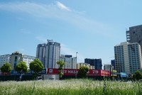 Diễn biến thị trường 6 tháng cuối năm dự báo sẽ còn khó khăn