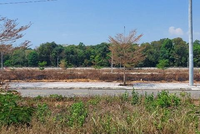 Kon Tum: Nhiều lô đất bỏ hoang sau khi đấu giá