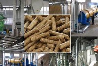 Bình Định có thêm dự án sản xuất viên nén gỗ 115 tỷ đồng