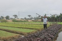 Quảng Nam đề nghị chuyển đổi hơn 30 ha đất lúa, đất rừng phòng hộ