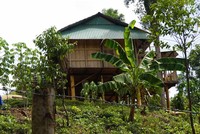 Khu đất rừng phòng hộ bị chiếm để dựng nhà sàn của bà Trương Thị Lệ Thâm ở xã Vĩnh Hảo, huyện Vĩnh Thạnh. Ảnh DT