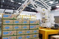 Giá đường thế giới lao dốc, Đường Quảng Ngãi (QNS) báo cáo lợi nhuận quý II/2022 tăng nhẹ 1,3%