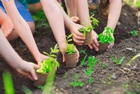 Chiến lược đề ra mục tiêu xây dựng một nền nông nghiệp thông minh, hiện đại, thích ứng hiệu quả với biến đổi khí hậu và có giá trị gia tăng cao.