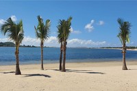 Dự án Khu du lịch quốc tế Đồi Rồng sở hữu bãi biển đẹp tại Hải Phòng