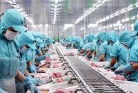 Xuất khẩu thủy sản tháng 7 xuống dưới ngưỡng 1 tỷ USD