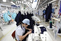 Sức ép lớn về truy xuất nguồn gốc nguyên phụ liệu