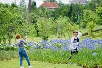 Chủ đề của Festival hoa lần này là "Đà Lạt - Thành phố bốn mùa hoa". Ảnh: Mai Nhiên
