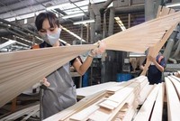 Nhà nhập khẩu Mỹ phải nộp tiền đặt cọc bằng mức thuế chống lẩn tránh tạm tính đối với các lô hàng gỗ dán nhập khẩu từ Việt Nam.