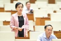 Đại biểu Nguyễn Thị Kim Thúy (Đà Nẵng) chất vấn Bộ trưởng Nguyễn Văn Hùng.