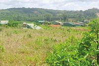 Sau khi được giao đất quản lý, Công ty cổ phần Xuất nhập khẩu Đại Gia Thuận chỉ xây dựng một… bốt gác bảo vệ, rồi “tàng hình”. Ảnh: P.T