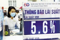 Lãi suất ngân hàng tăng mạnh thời gian qua để ghìm tỷ giá, ổn định vĩ mô. Ảnh: Đức Thanh