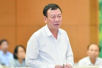 Tổng Thanh tra Chính phủ Đoàn Hồng Phong phát biểu tại phiên thảo luận.