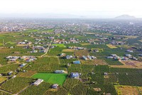 Tỉnh Bình Thuận đang tập trung phát triển ngành nông nghiệp hiện đại, bền vững, có giá trị gia tăng cao