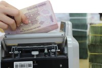 Tỷ lệ nợ xấu của ngành ngân hàng có nguy cơ gia tăng trong nửa cuối năm 2022, do các khoản nợ tái cơ cấu đã hết thời gian ân hạn