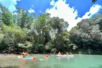 Về Hạ Long, nhưng không xuống biển mà lên rừng