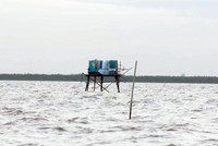 Bãi ngao tự phát của người dân ở vùng biển thuộc quận Hải An. Ảnh: LT