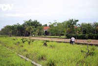 Hà Nội kiểm soát chặt đấu giá đất, rà soát nguy cơ bong bóng bất động sản